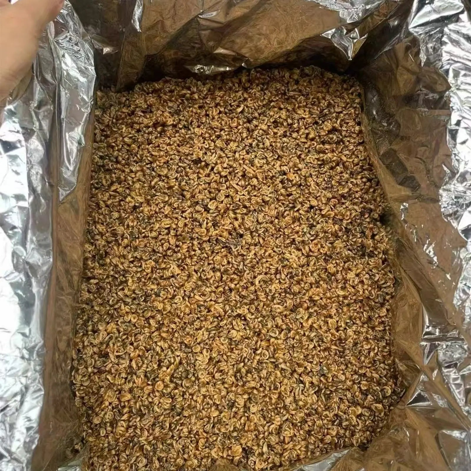 Golden Snail 云南风庆金贞茶叶批发红茶城5-1