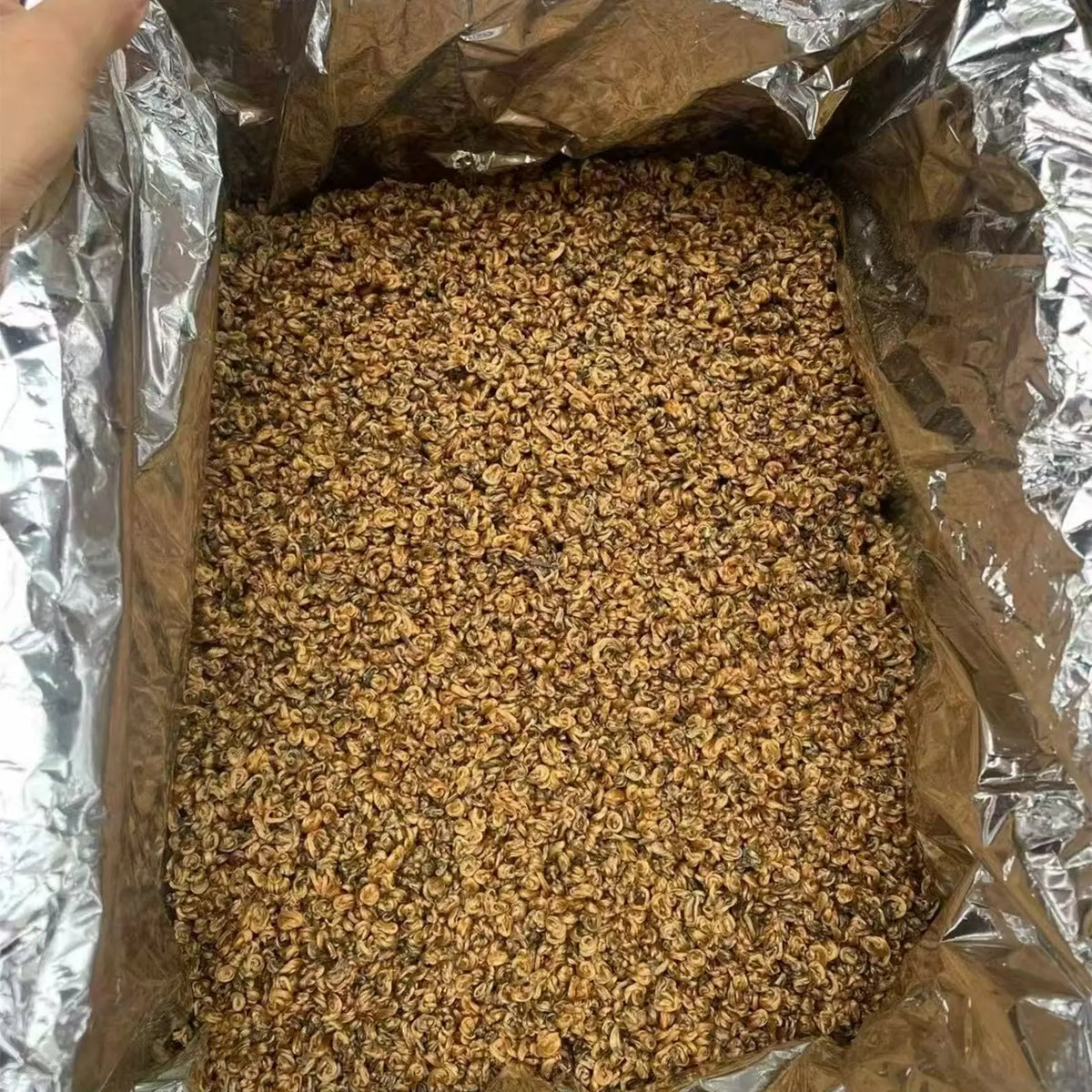 Golden Snail 云南风庆金贞茶叶批发红茶城5-1